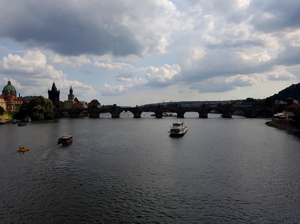 20190803_165211 v.jpg