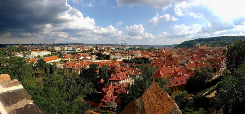 20190803_164219 v.jpg