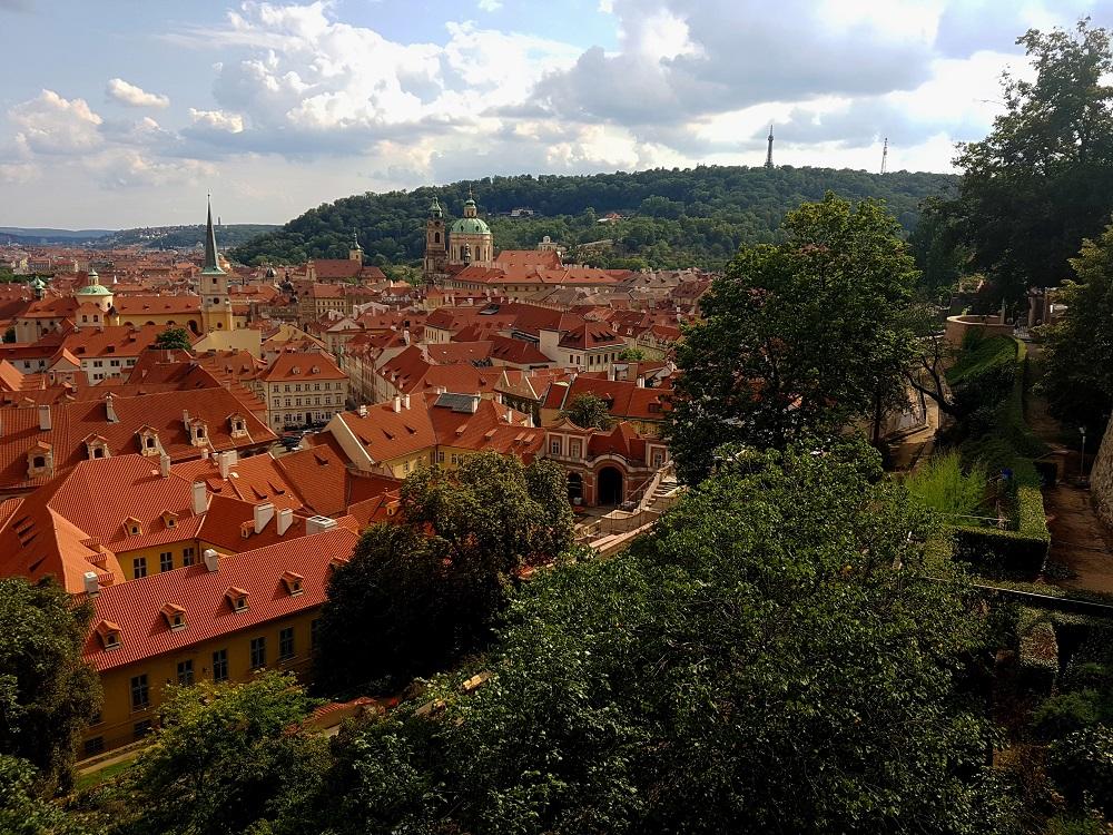 20190803_164025 v.jpg