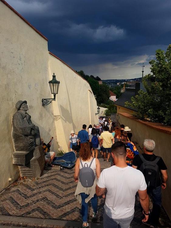 20190803_164405 v.jpg