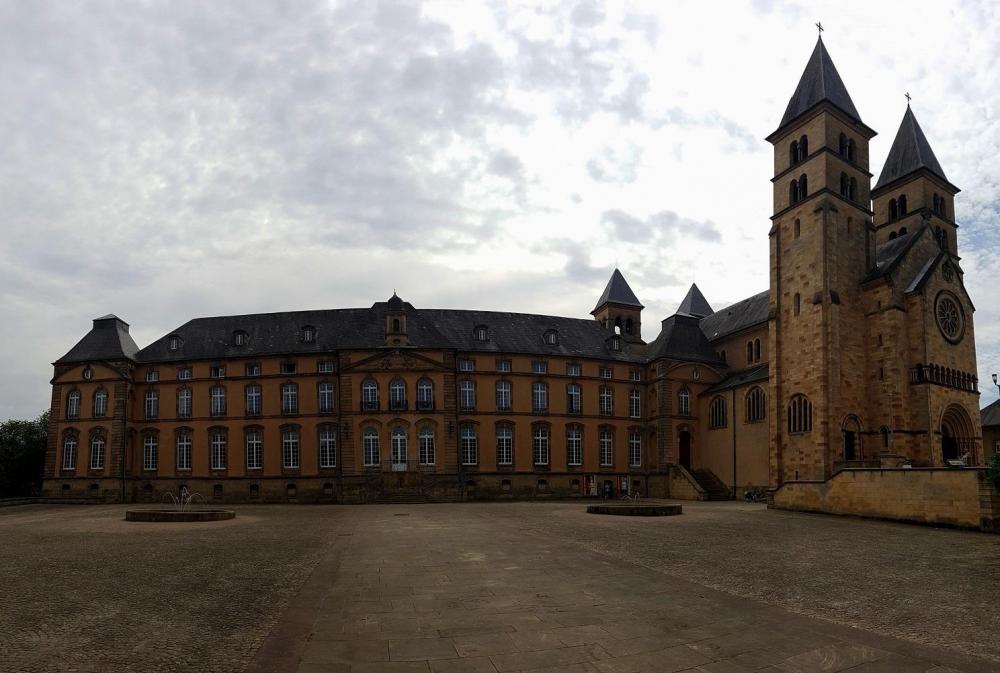 20190805_120440 v.jpg