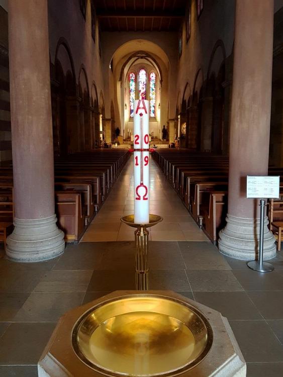 20190805_112723 v.jpg