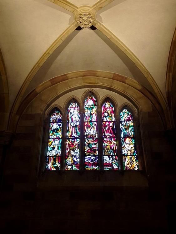 20190805_112737 v.jpg