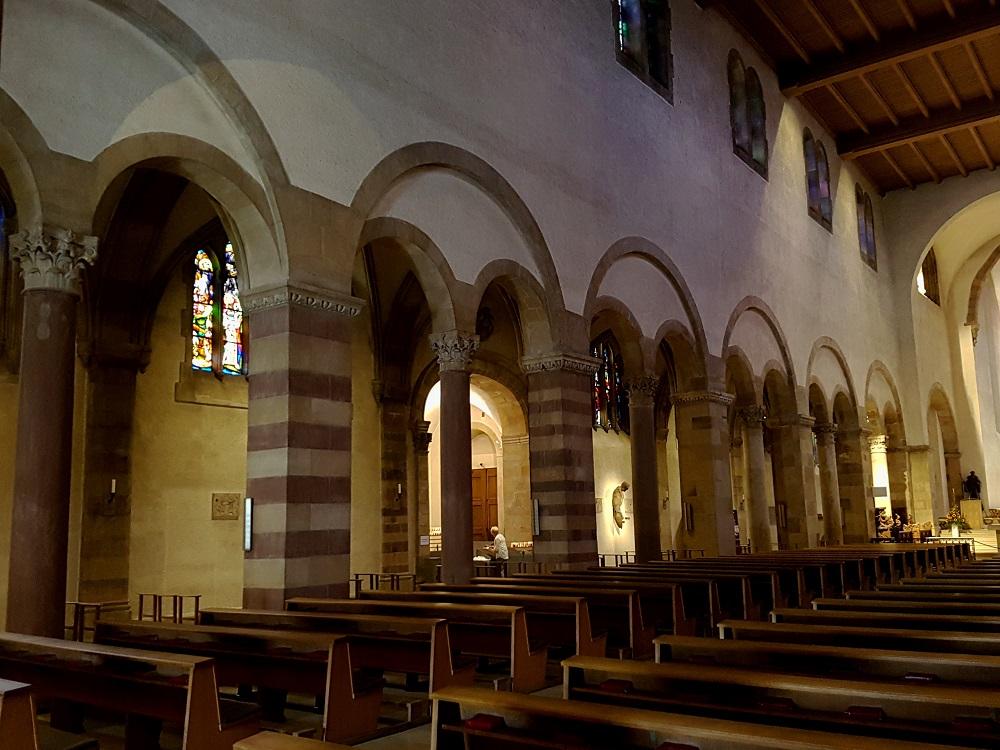 20190805_112752 v.jpg