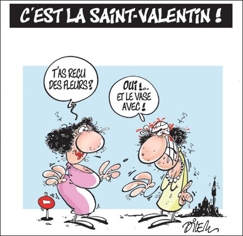 saint-valentin-humour-drolefleur-vase.jpg