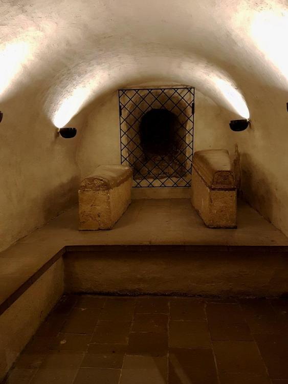 20190805_113402 v.jpg