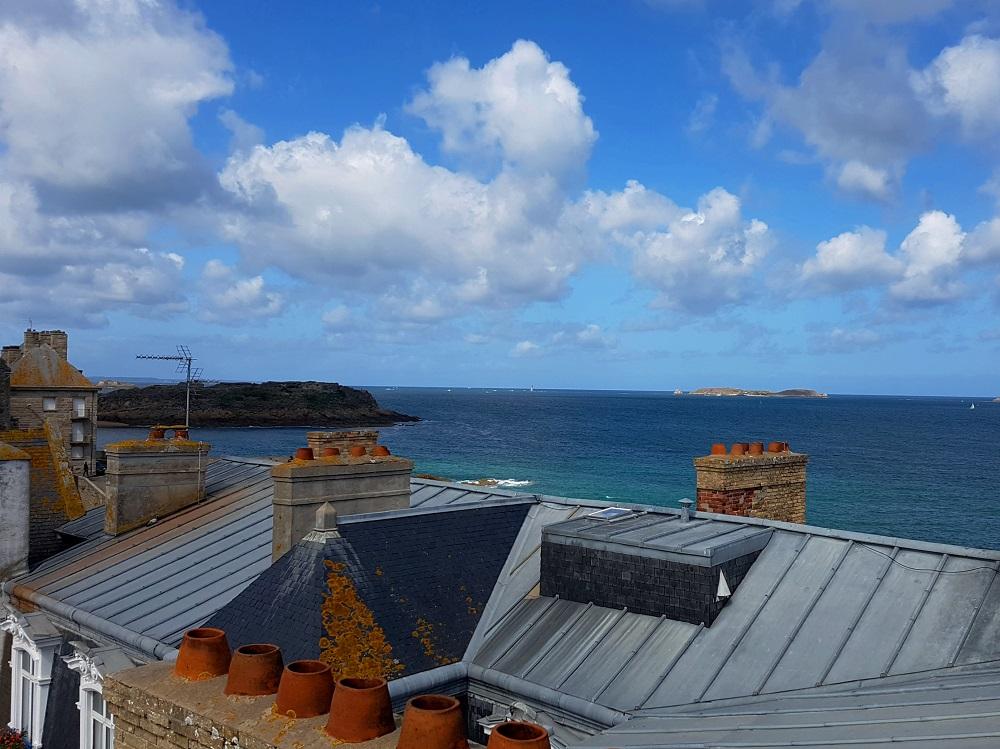 20190818_122545 v.jpg