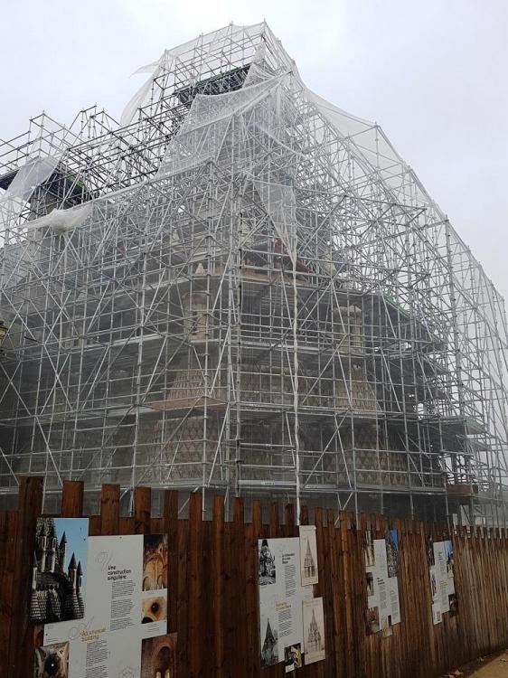 20191101_151045 v.jpg