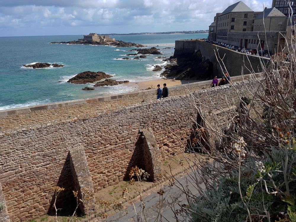 20190818_120810 v.jpg