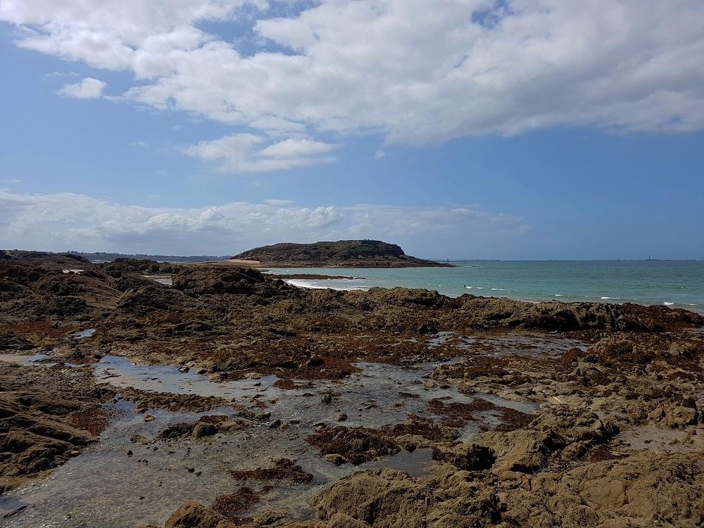 20190818_150528 v.jpg