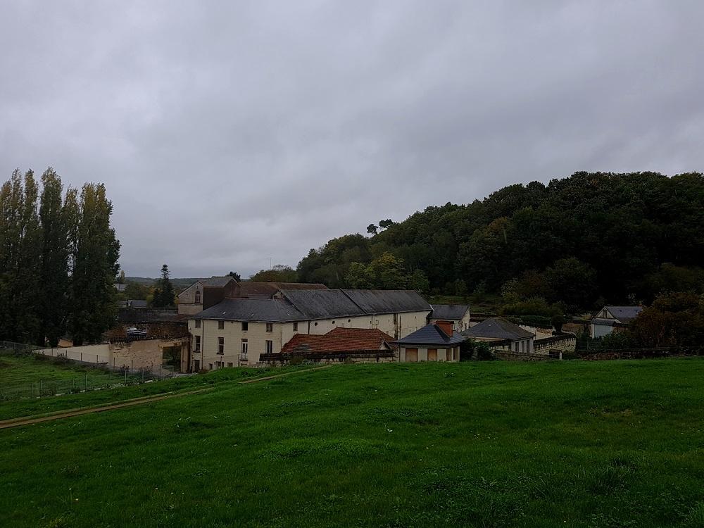 20191101_140323 v.jpg