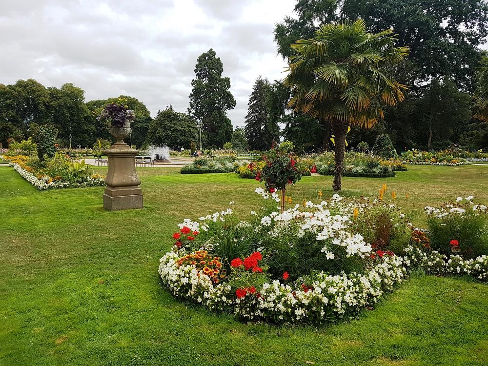 20190816_144145 v.jpg