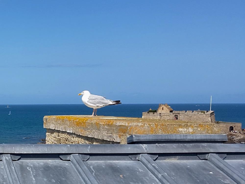 20190818_144201 v.jpg