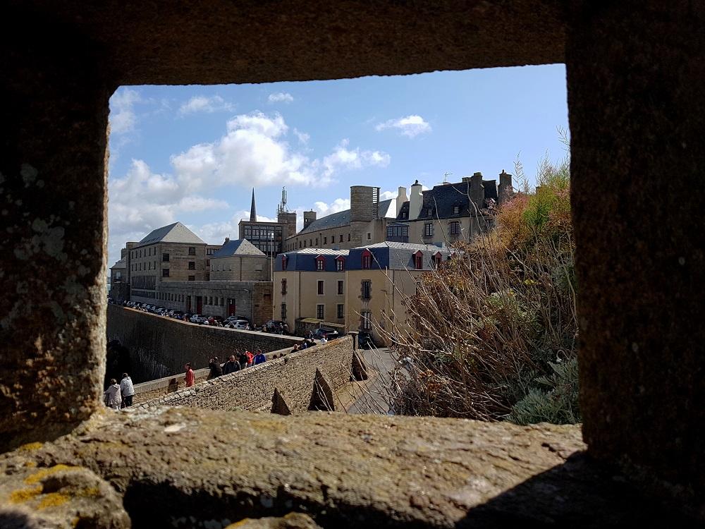 20190818_120701 v.jpg