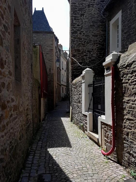 20190818_121440 v.jpg