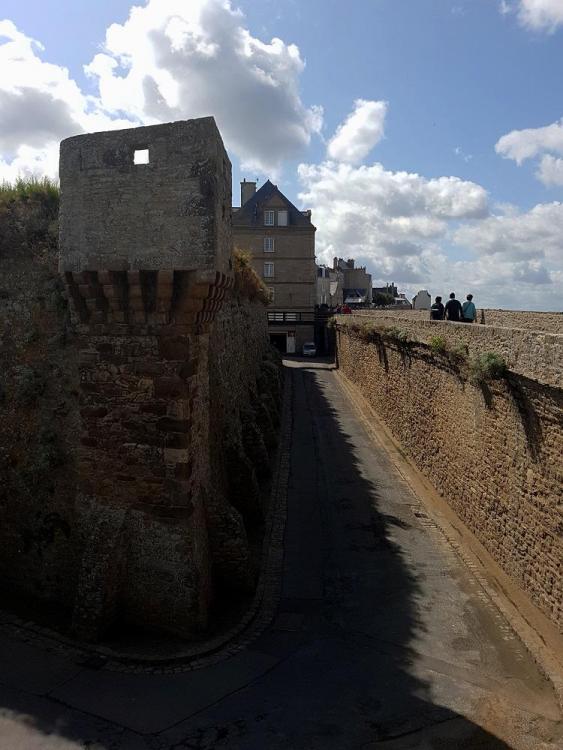 20190818_115644 v.jpg