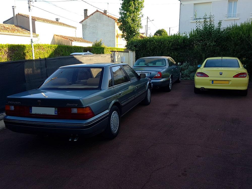 20200711_081712 v.jpg