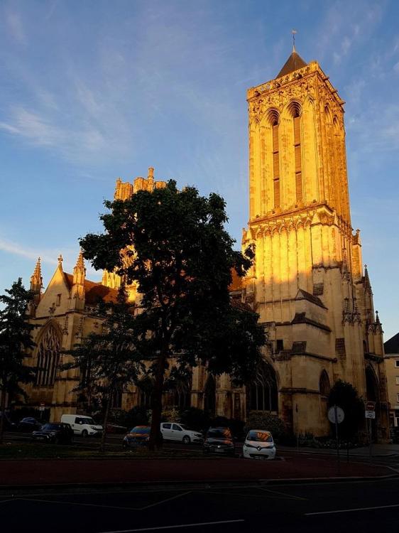 20200712_213637 v.jpg