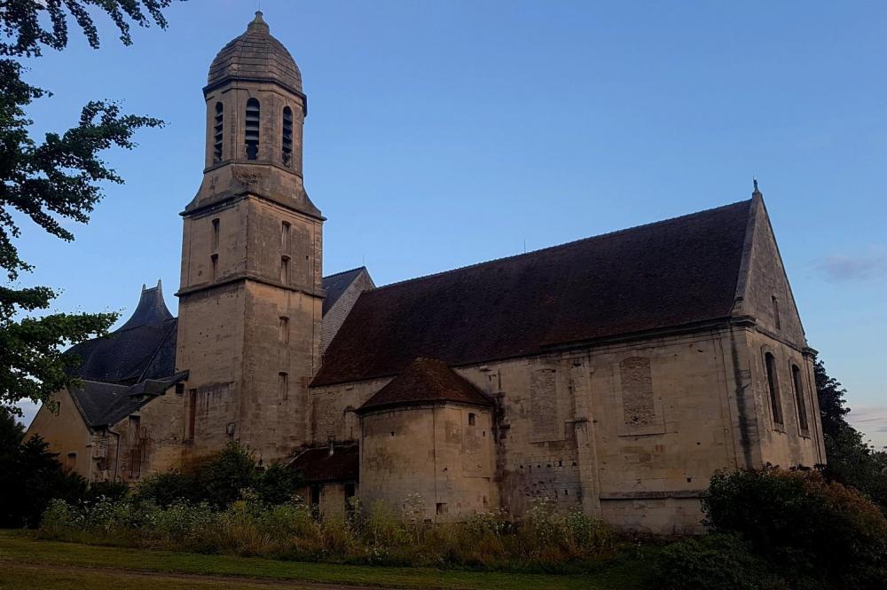 20200713_214607 v.jpg