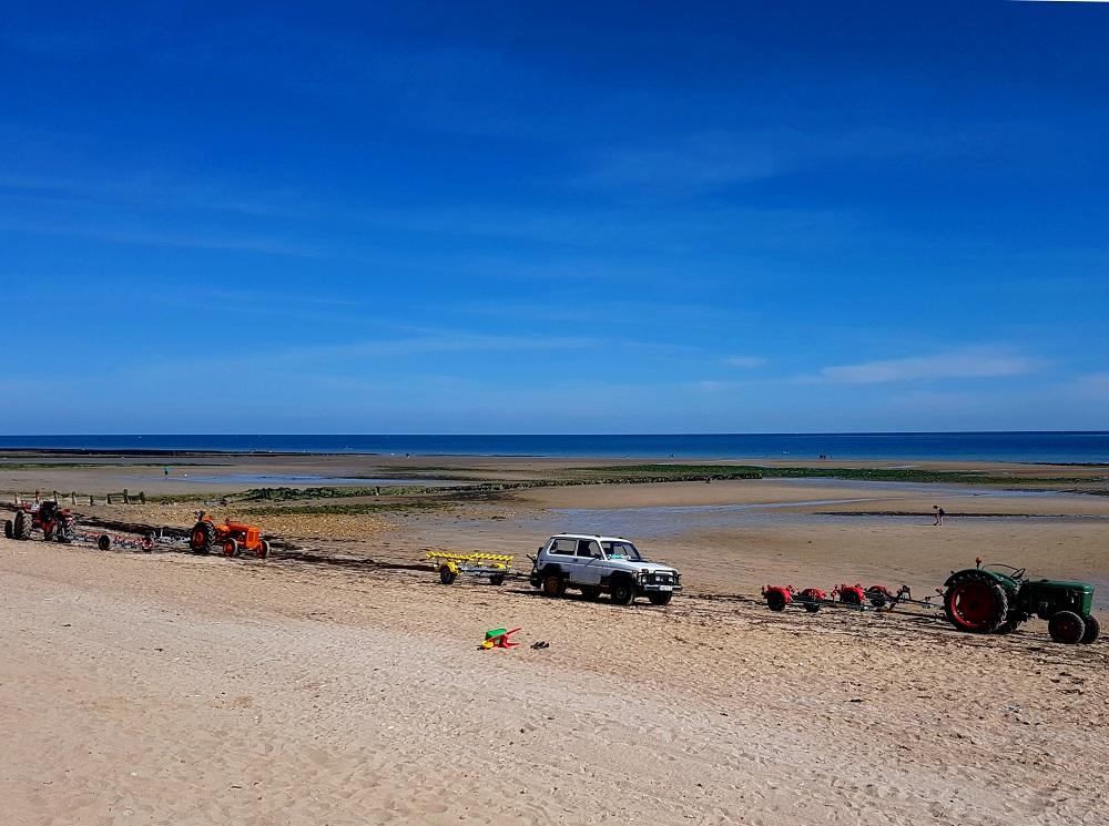 20200712_105505 v.jpg