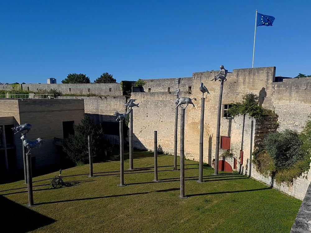 20200711_192150 v.jpg