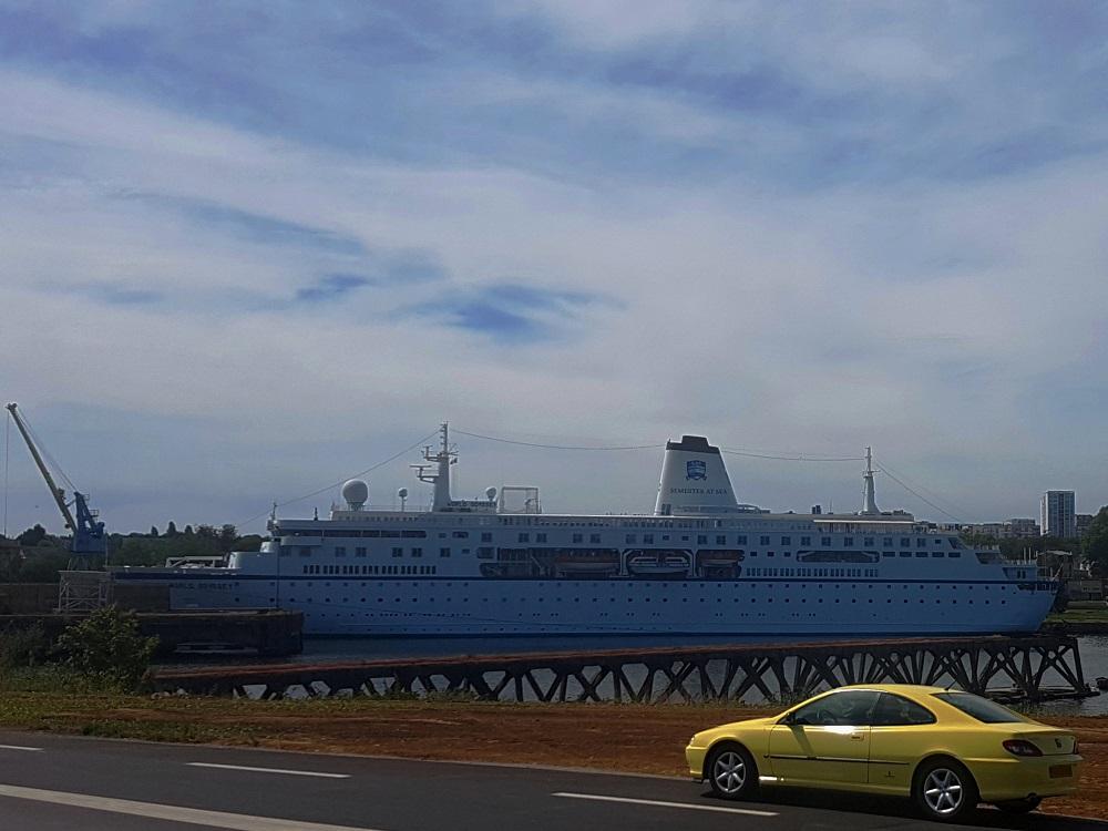 20200713_155725 v.jpg