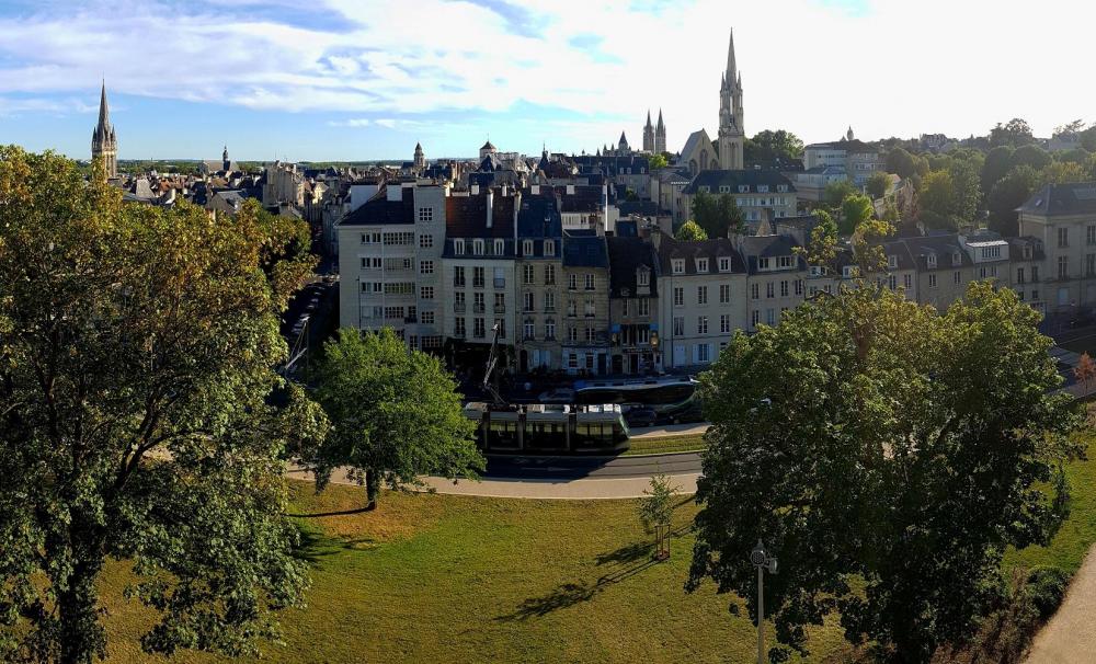 20200711_193610 v.jpg