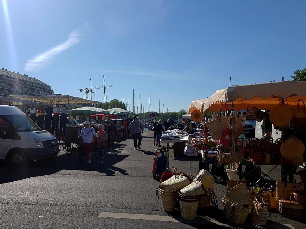 20200712_094345 v.jpg