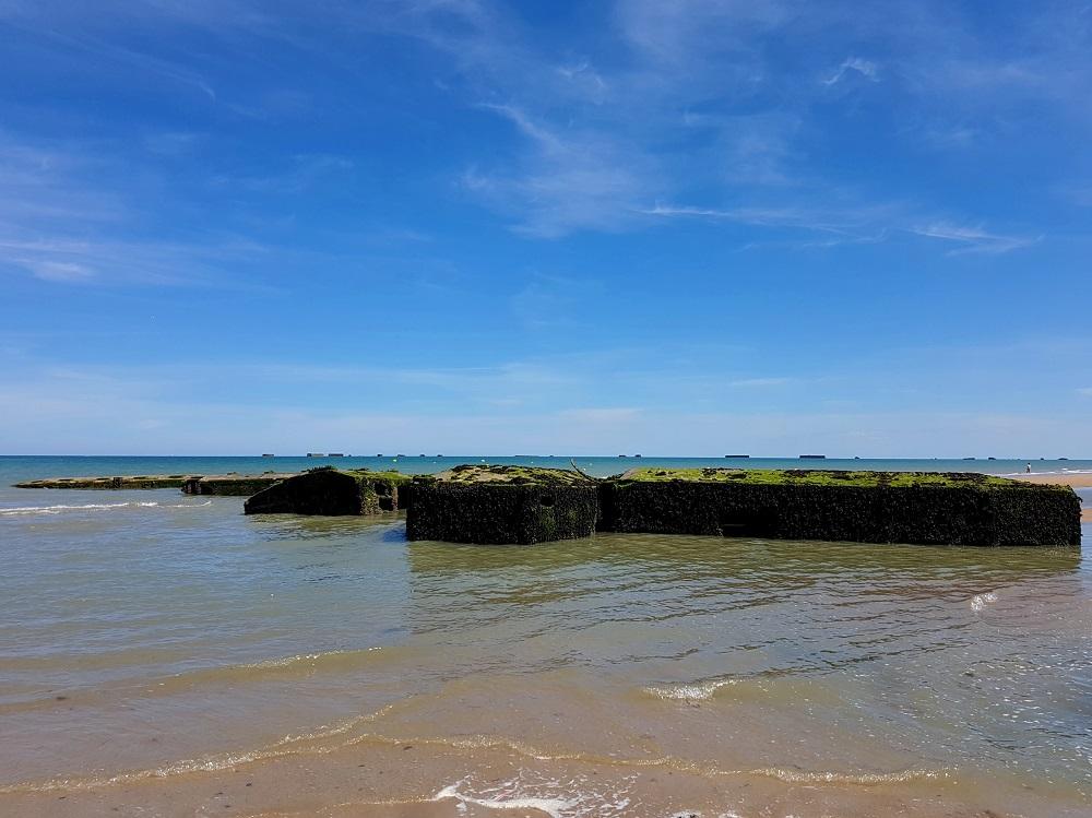 20200712_132344 v.jpg