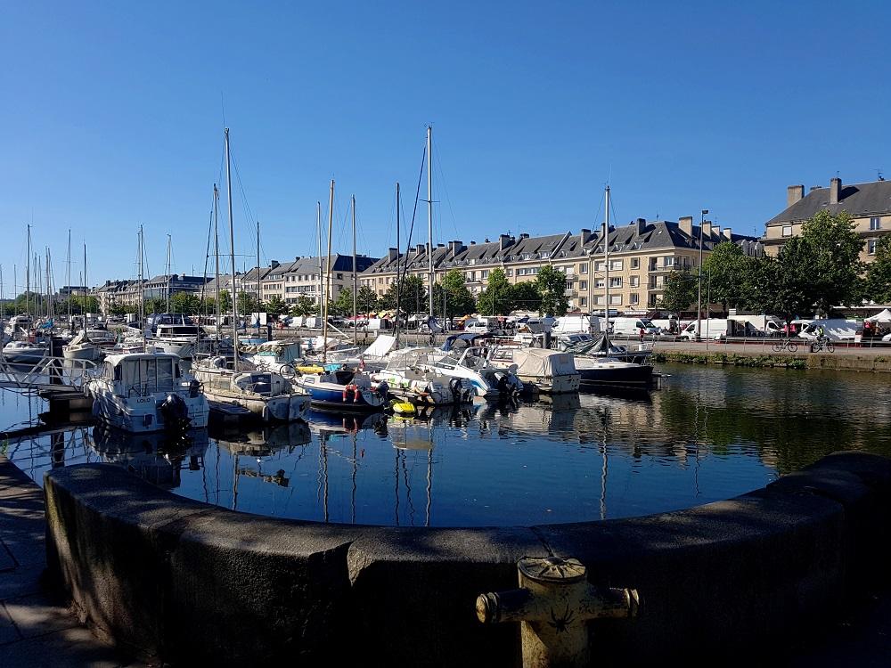 20200712_094640 v.jpg