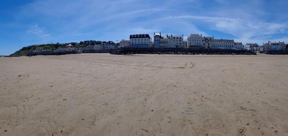 20200712_131605 v.jpg