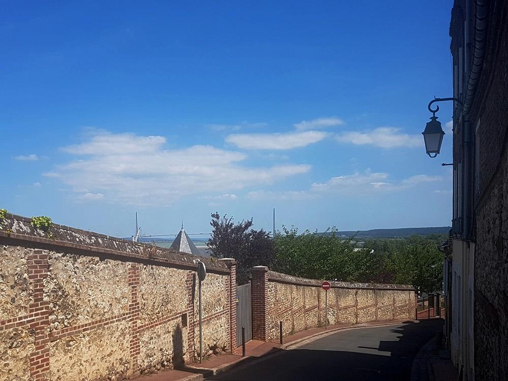 20200713_143559 v.jpg