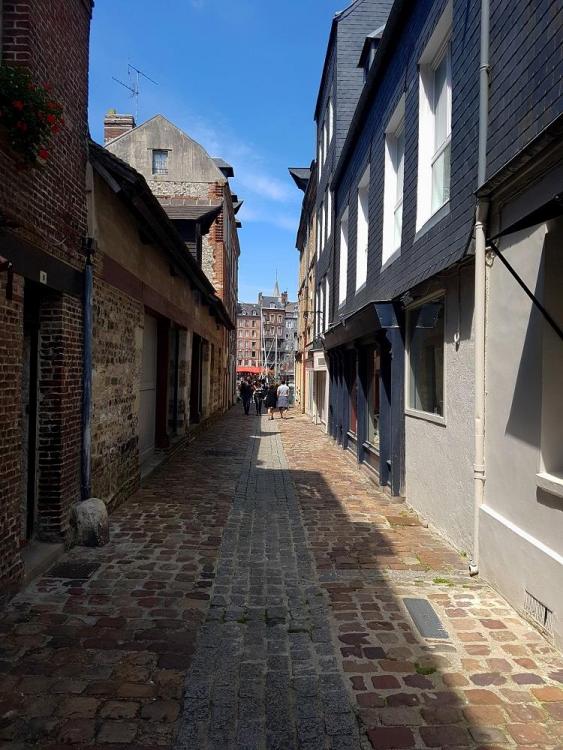 20200713_132959 v.jpg