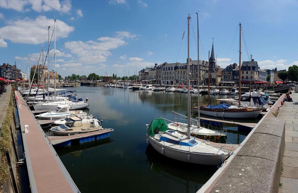 20200713_132238 v.jpg