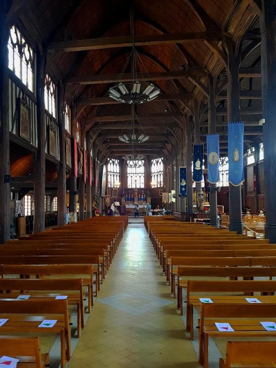 20200713_141648 v.jpg