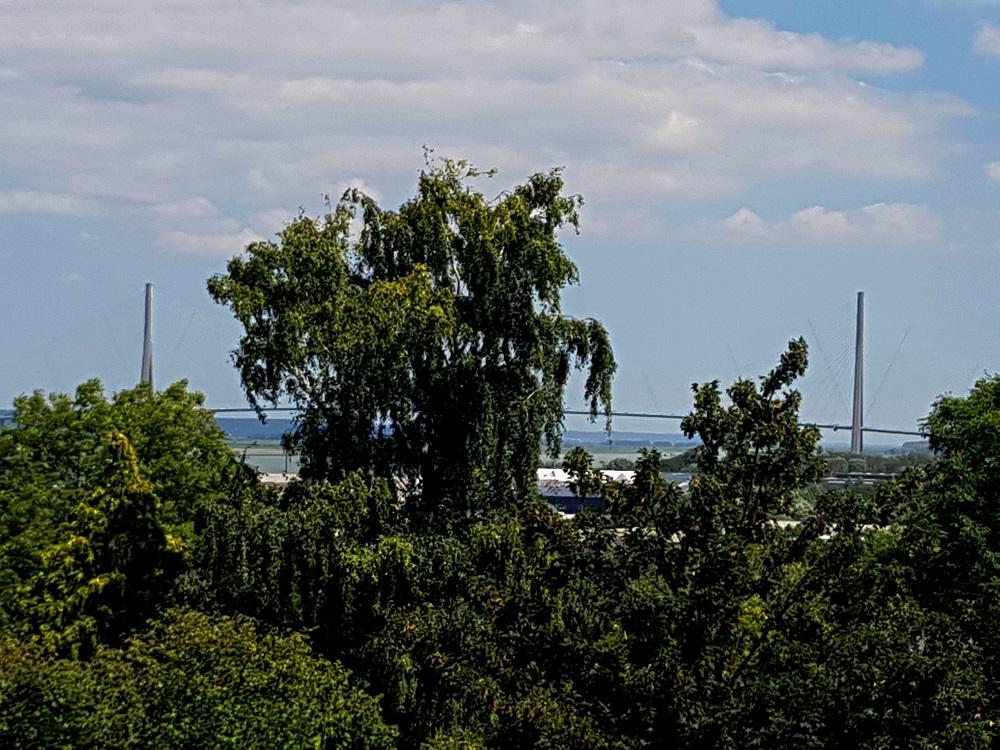 20200713_143116 v.jpg