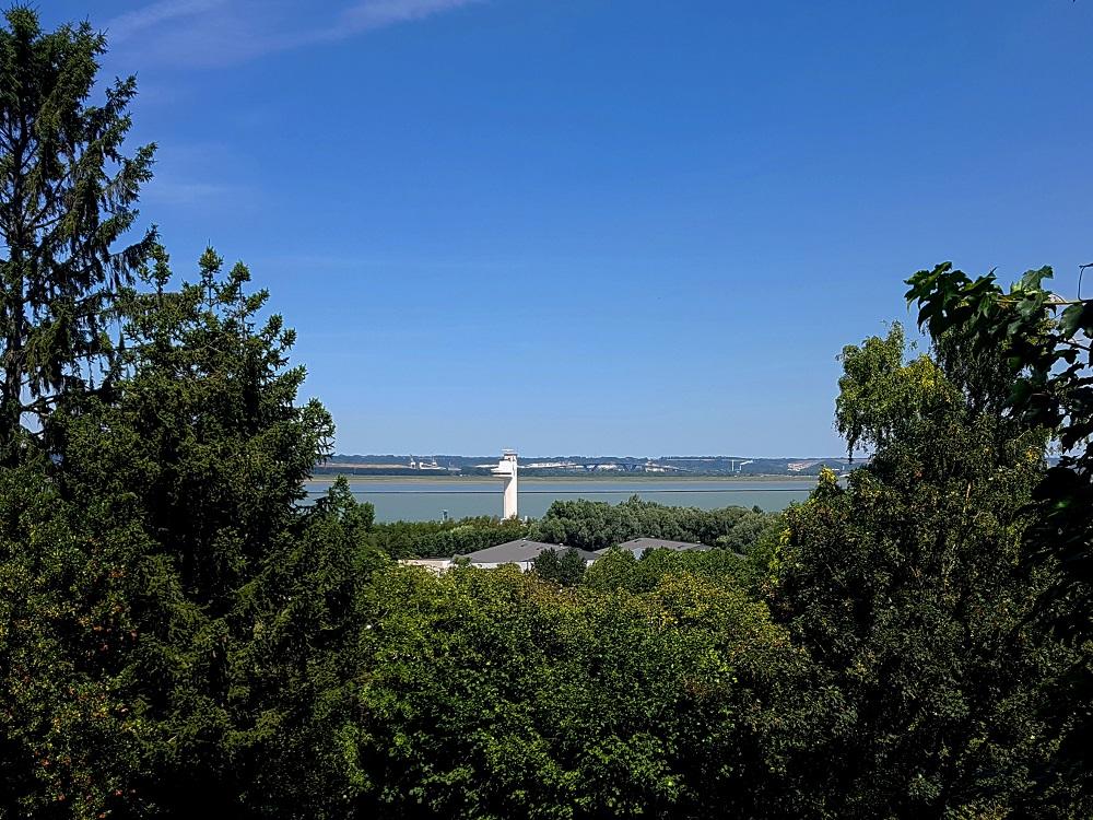 20200713_143026 v.jpg