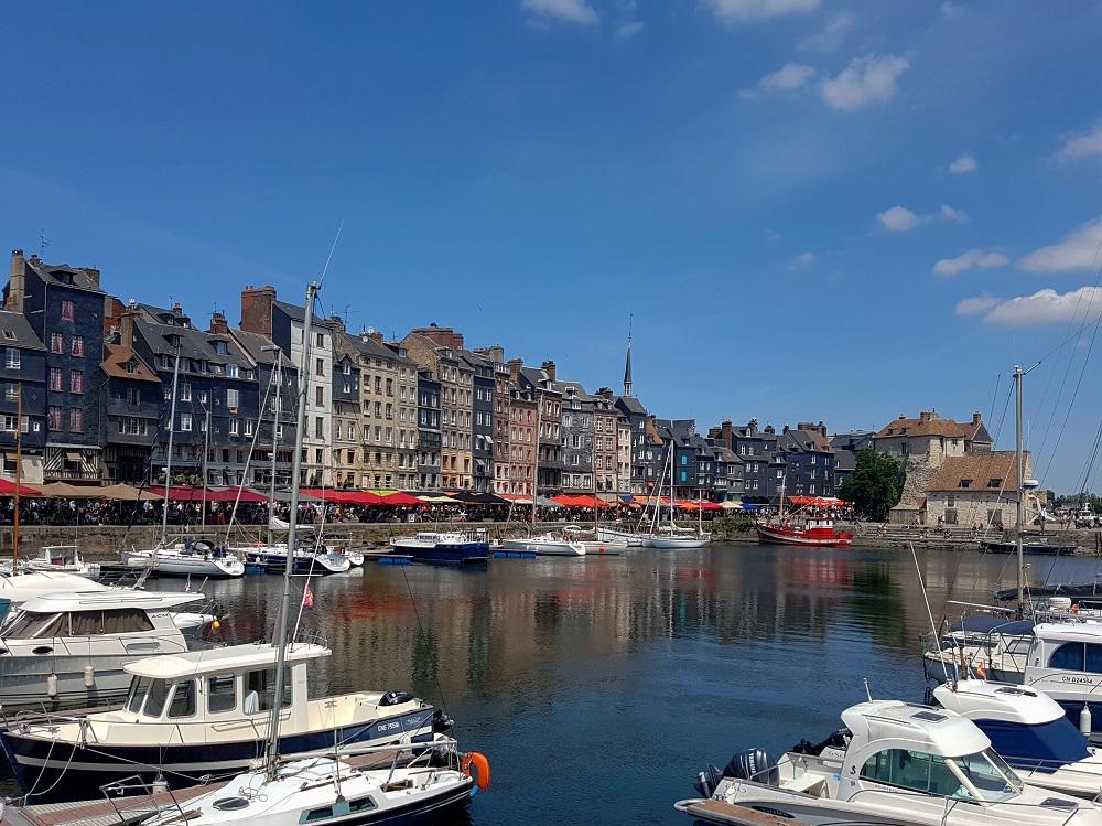 20200713_132542 v.jpg