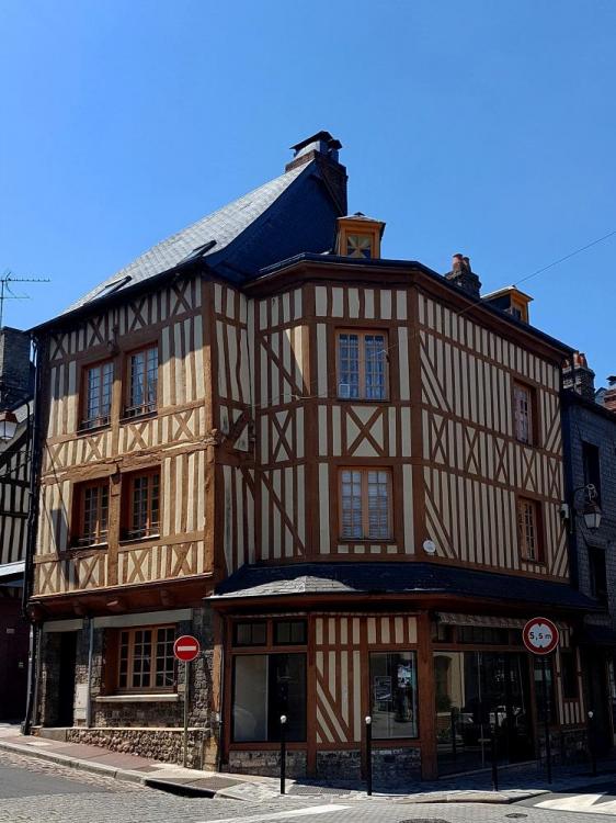 20200713_135546 v.jpg