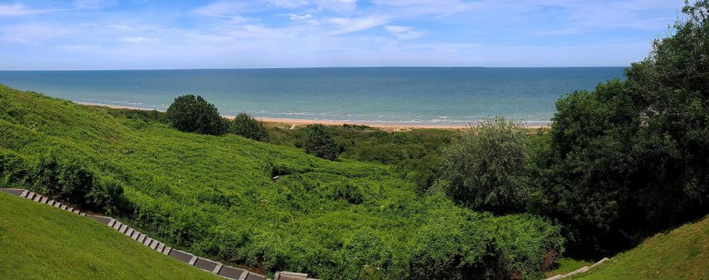 20200712_150431 v.jpg