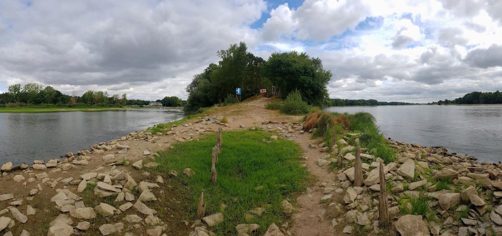 20200802_121121 v.jpg