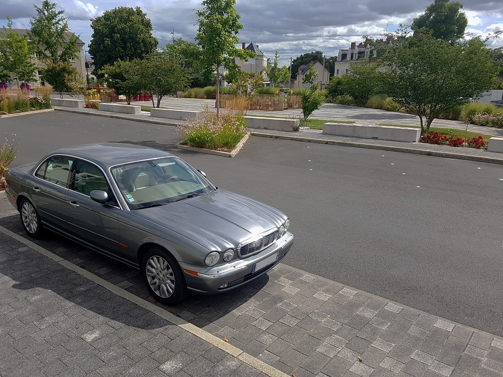 20200802_111334 v.jpg