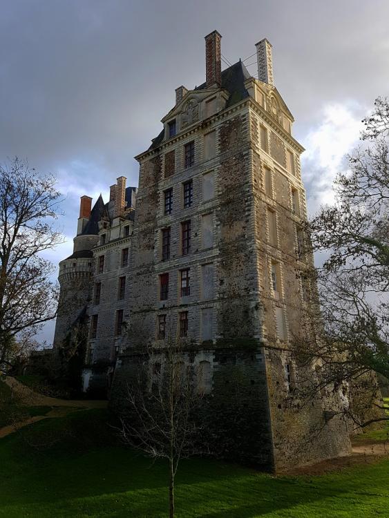 20201219_140200 v.jpg