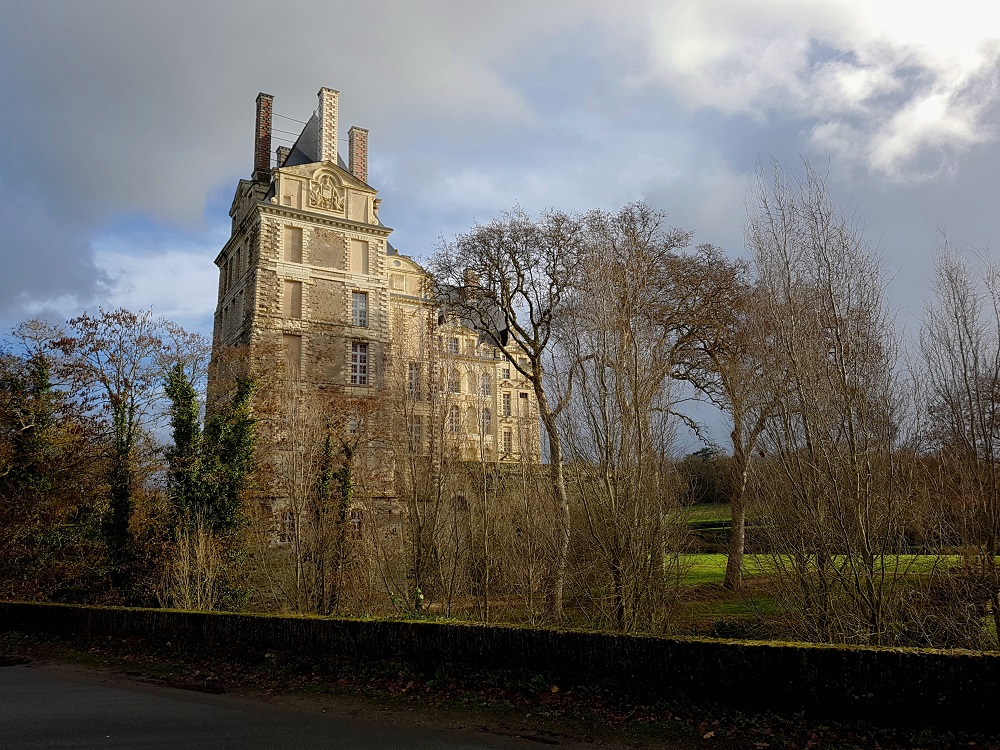 20201219_140317 v.jpg