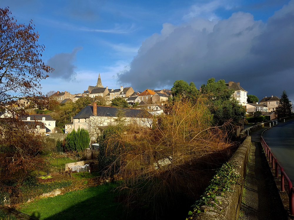 20201219_140241 v.jpg