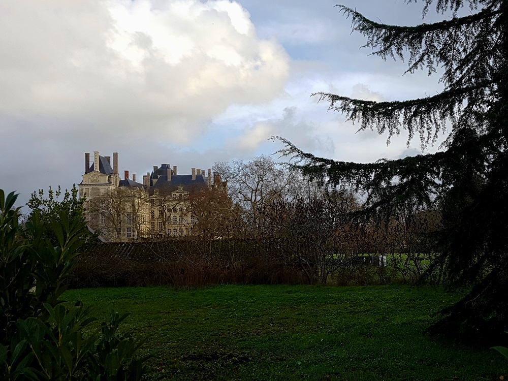 20201219_140708 v.jpg