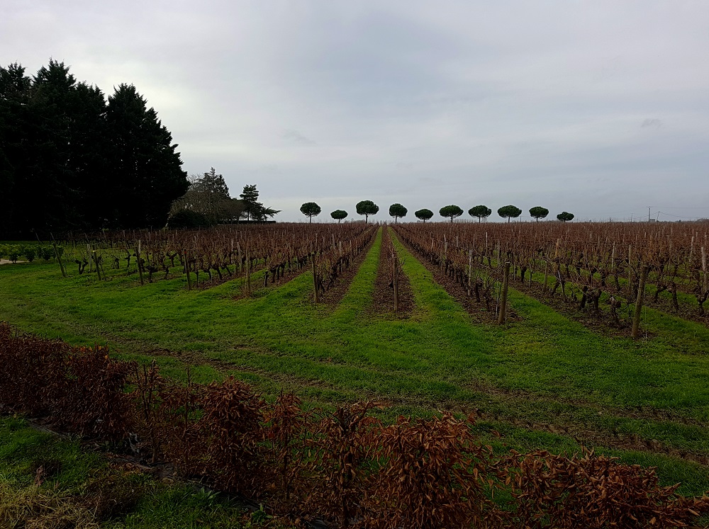 20201219_142037 v.jpg