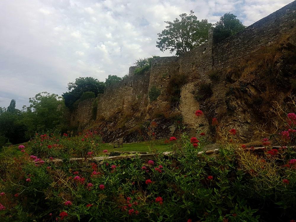 20210821_115621 v.jpg