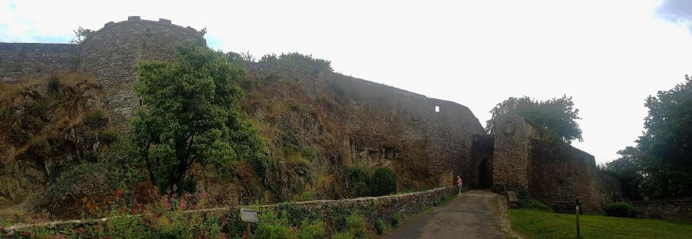 20210821_115548 v.jpg