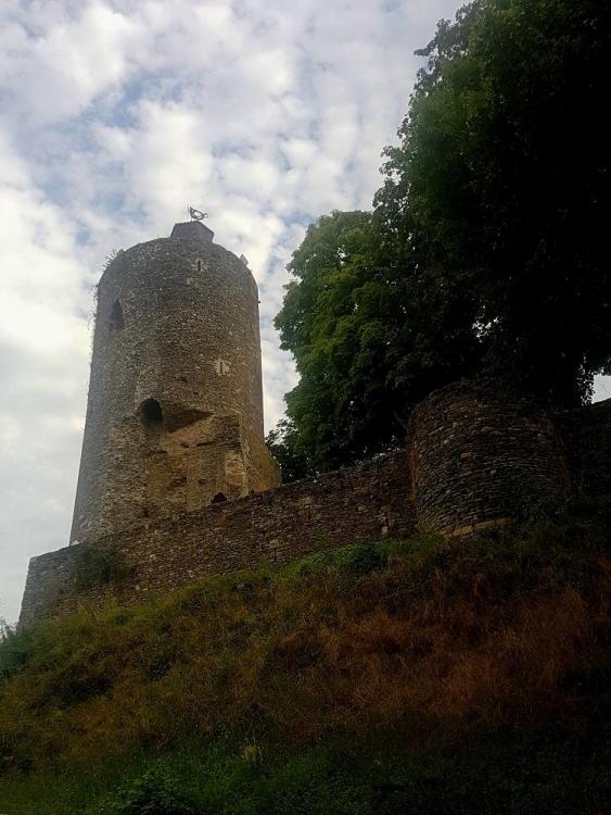 20210821_115042 v.jpg